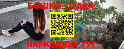 мяу мяу мука Будённовск
